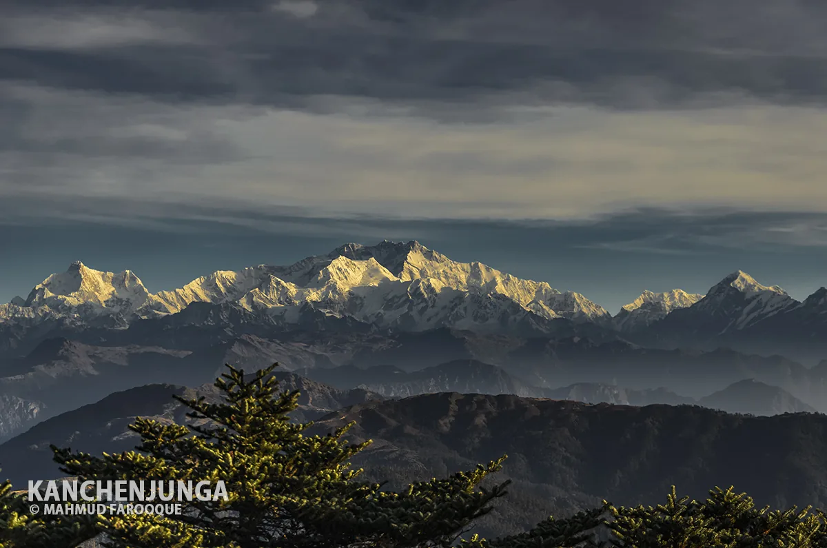 Sandakphu Phalut Trekking