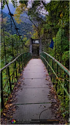 Into the Mist: Suspension Bridge on Goechala Trek, Sikkim