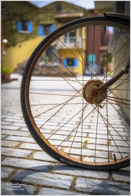 Rusty Bicycle Wheel at the Swiss Sheep Farm, Pattaya